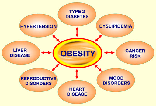 obesity1