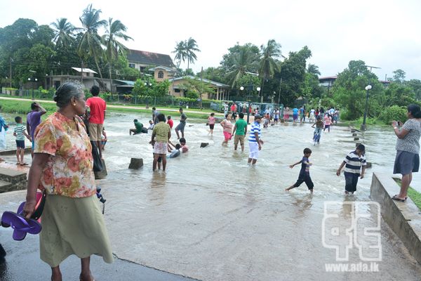 දියවන්නා 8