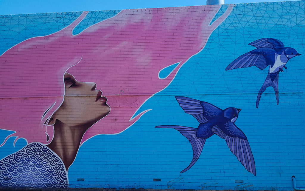 lesterlost-travel-australia-western-australia-walking-tour-perth-street-art-leederville-pink-sarah-mccloskey