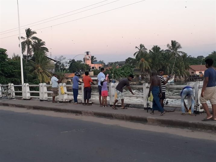 පිටිපන පාලමෙි බිලිබැම